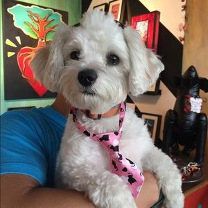 Meet your Posher, Jenny